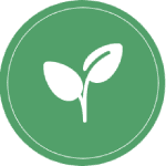 Création d'espace vert et jardin